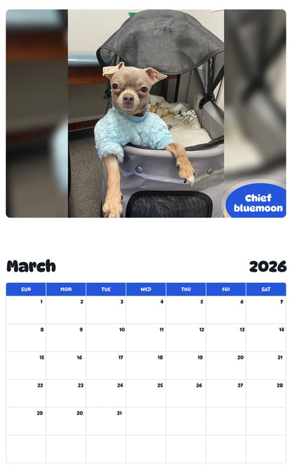 November 2025 - October 2026 Chief bluemoon - Pawidols Pet Calendar