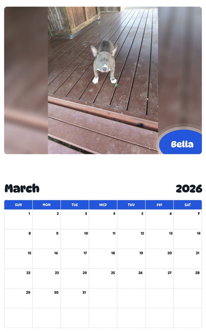 November 2025 - October 2026 Bella - Pawidols Pet Calendar
