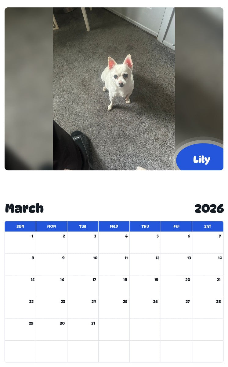 November 2025 - October 2026 Lily - Pawidols Pet Calendar