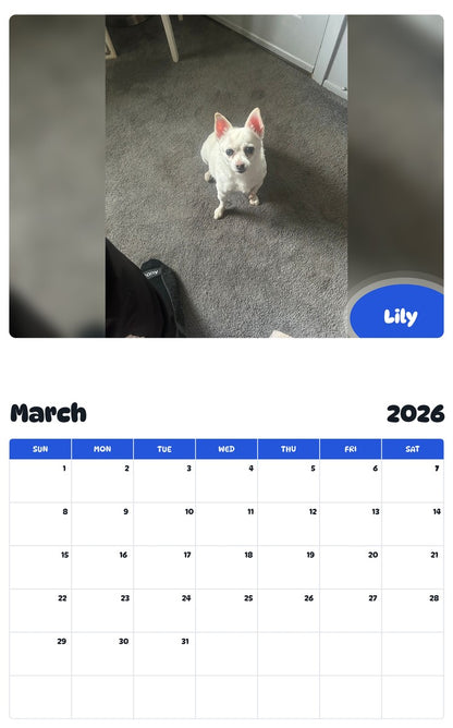 November 2025 - October 2026 Lily - Pawidols Pet Calendar