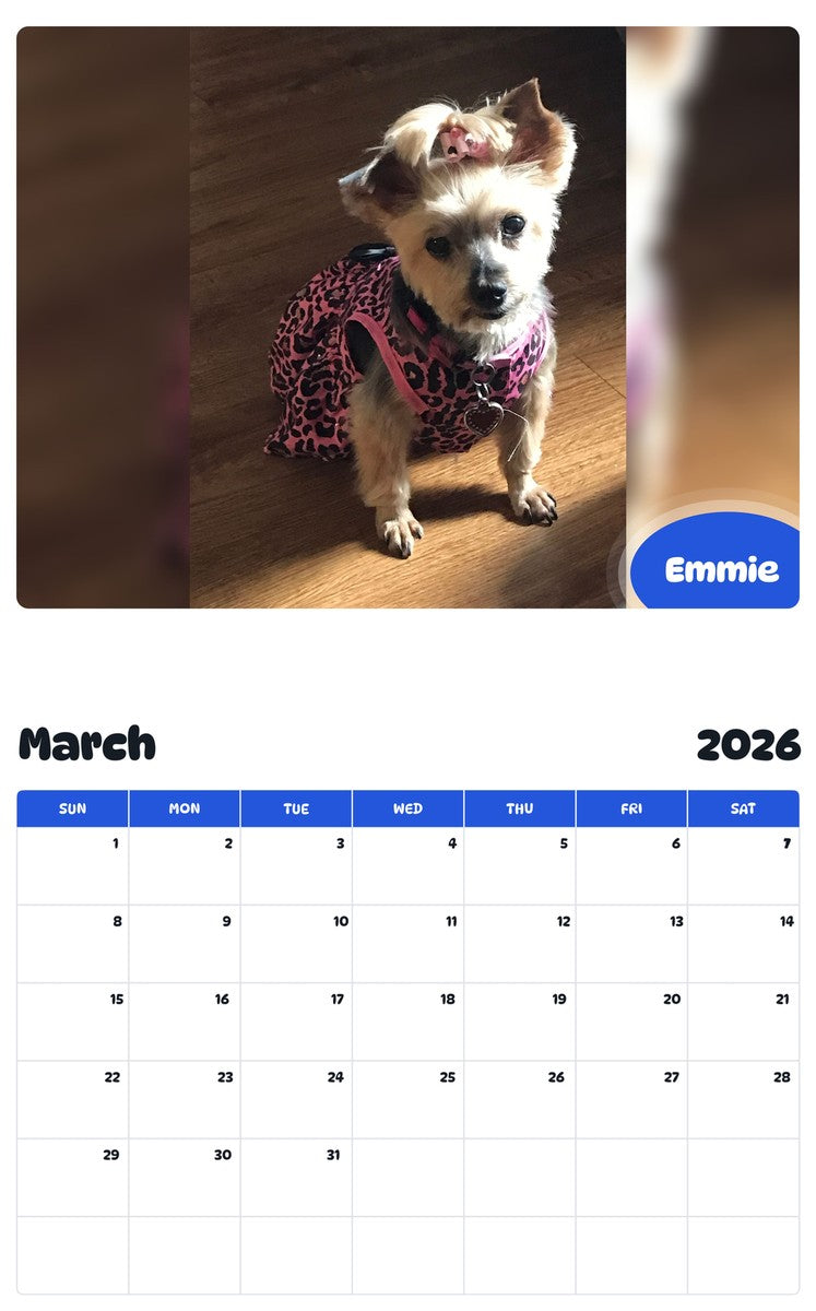 November 2025 - October 2026 Emmie - Pawidols Pet Calendar