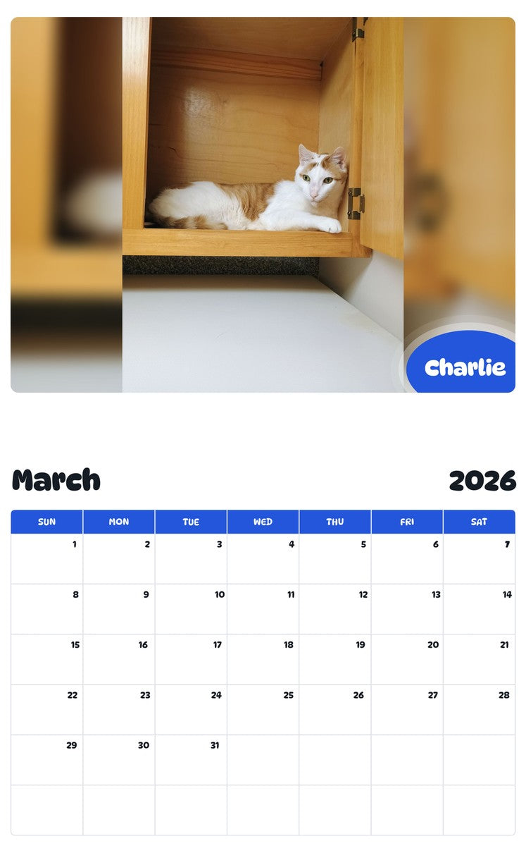 November 2025 - October 2026 Charlie - Pawidols Pet Calendar