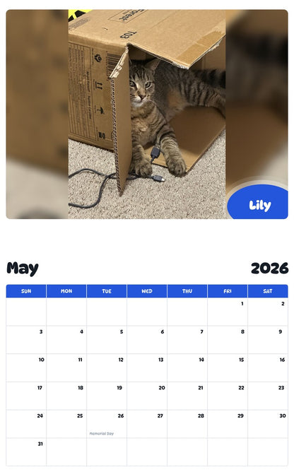 2026 - 2027 Lily - Pawidols Pet Calendar