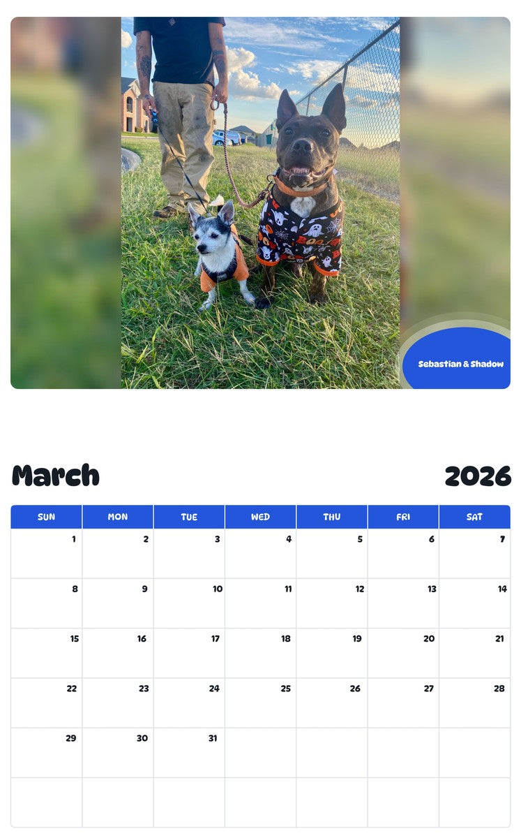 November 2025 - October 2026 Sebastian & Shadow - Pawidols Pet Calendar