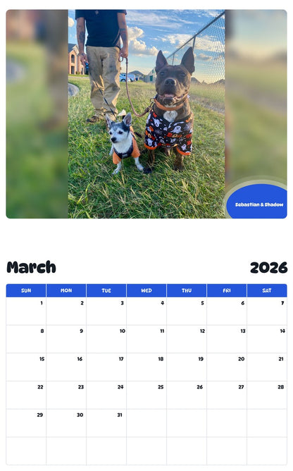 November 2025 - October 2026 Sebastian & Shadow - Pawidols Pet Calendar