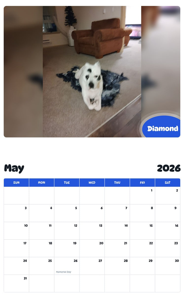 2026 - 2027 Diamond - Pawidols Pet Calendar