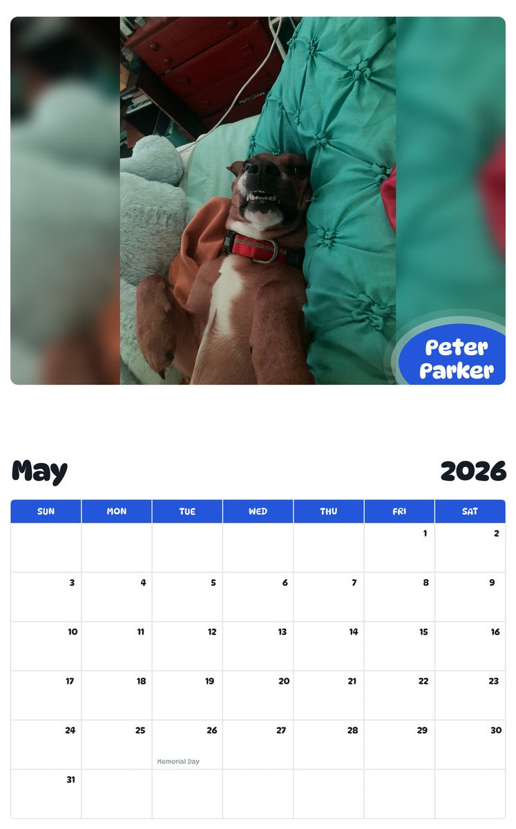 2026 - 2027 Peter Parker - Pawidols Pet Calendar