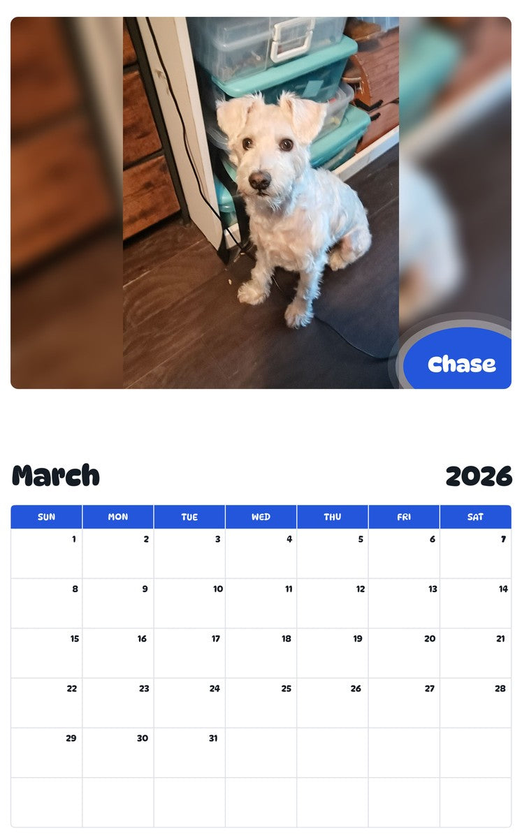 November 2025 - October 2026 Chase - Pawidols Pet Calendar