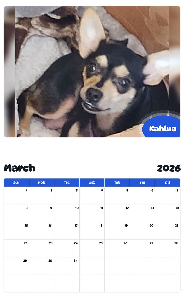 November 2025 - October 2026 Kahlua - Pawidols Pet Calendar