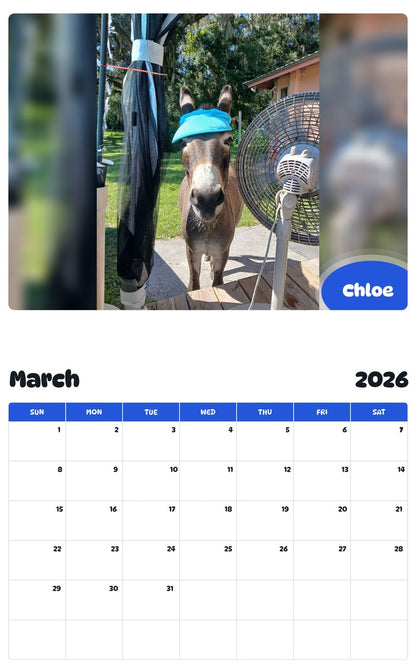 November 2025 - October 2026 Chloe - Pawidols Pet Calendar