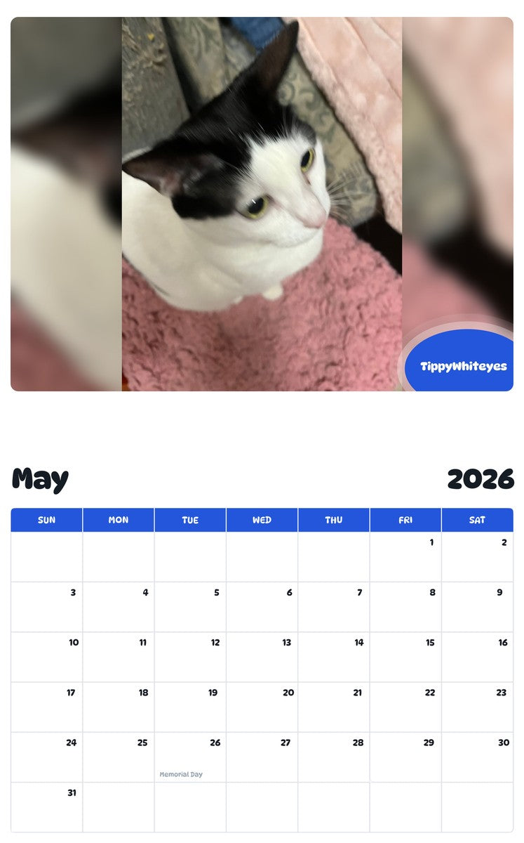 2026 - 2027 TippyWhiteyes - Pawidols Pet Calendar