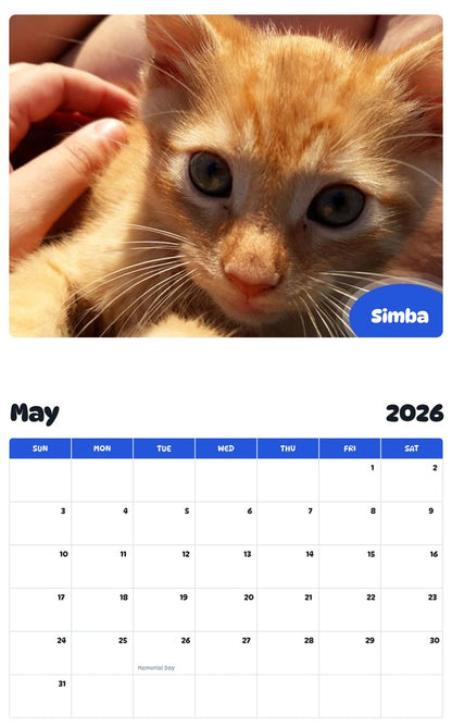 2026 - 2027 Simba - Pawidols Pet Calendar