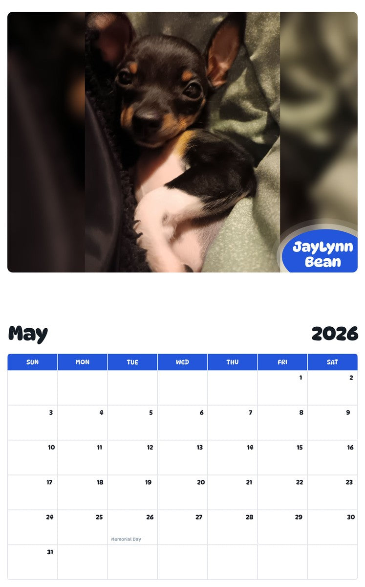 2026 - 2027 JayLynn Bean - Pawidols Pet Calendar