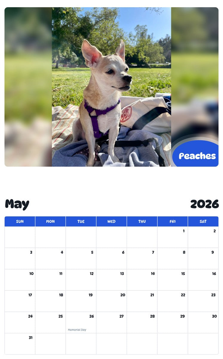 2026 - 2027 Peaches - Pawidols Pet Calendar