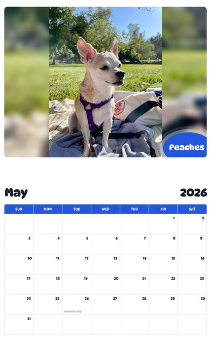 2026 - 2027 Peaches - Pawidols Pet Calendar