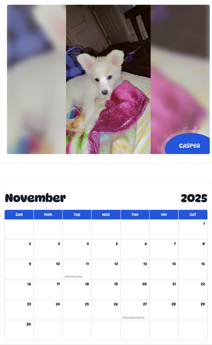 July 2025 - June 2026 Casper - Pawidols Pet Calendar