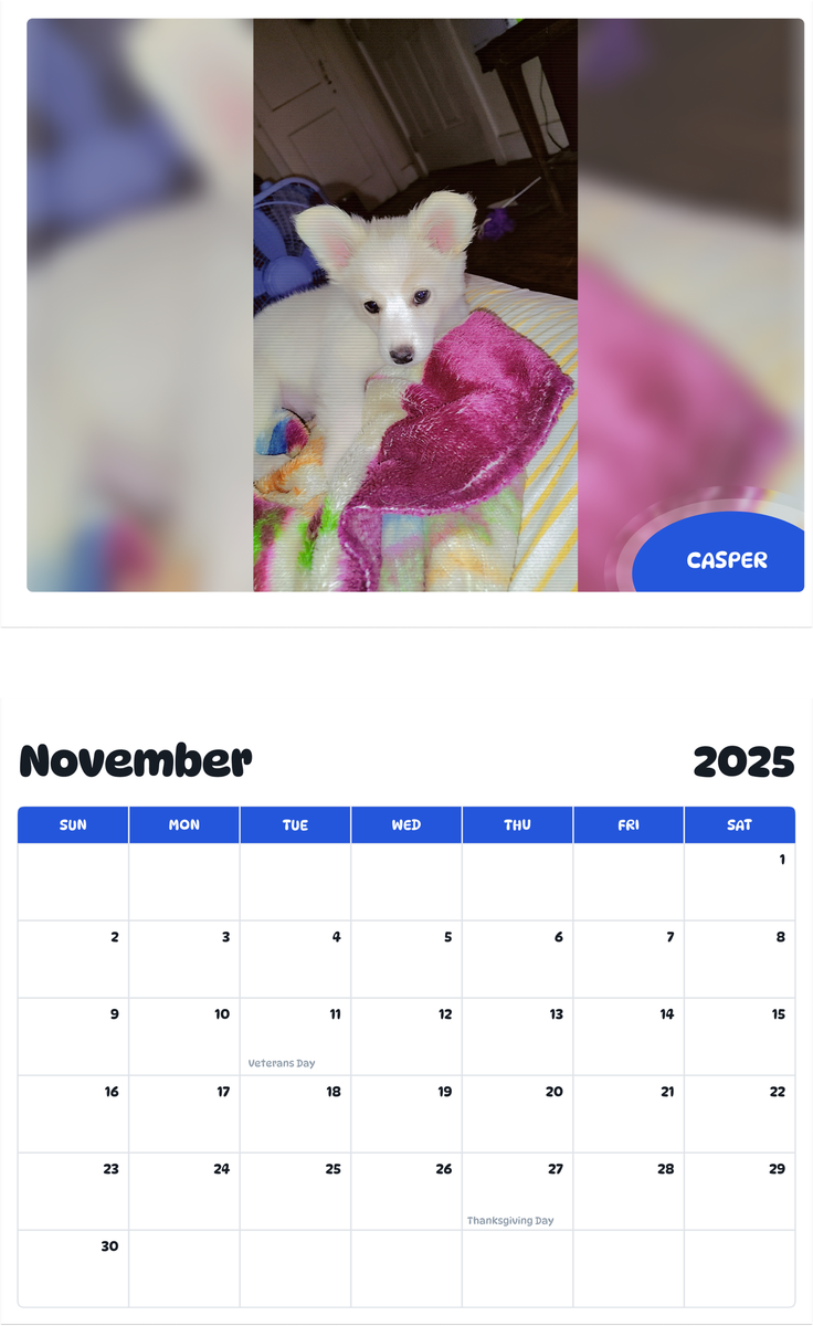 July 2025 - June 2026 Casper - Pawidols Pet Calendar