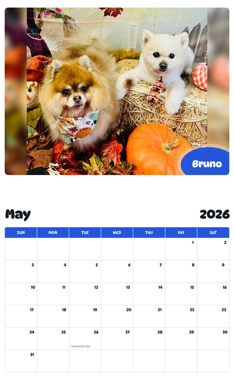 2026 - 2027 Bruno - Pawidols Pet Calendar