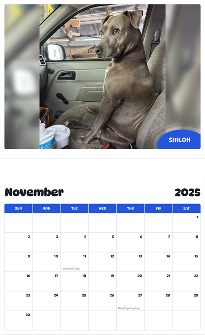 July 2025 - June 2026 Shiloh - Pawidols Pet Calendar