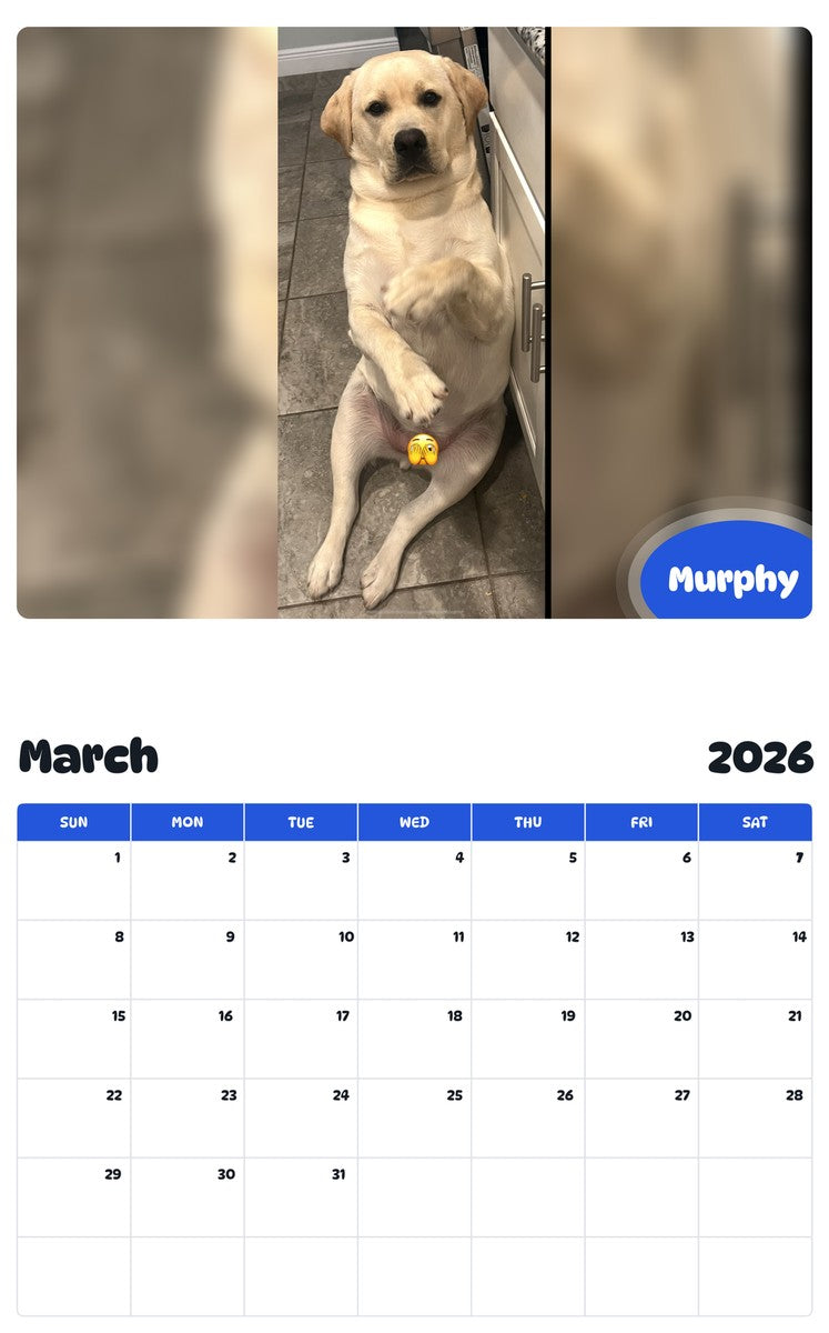 November 2025 - October 2026 Murphy - Pawidols Pet Calendar