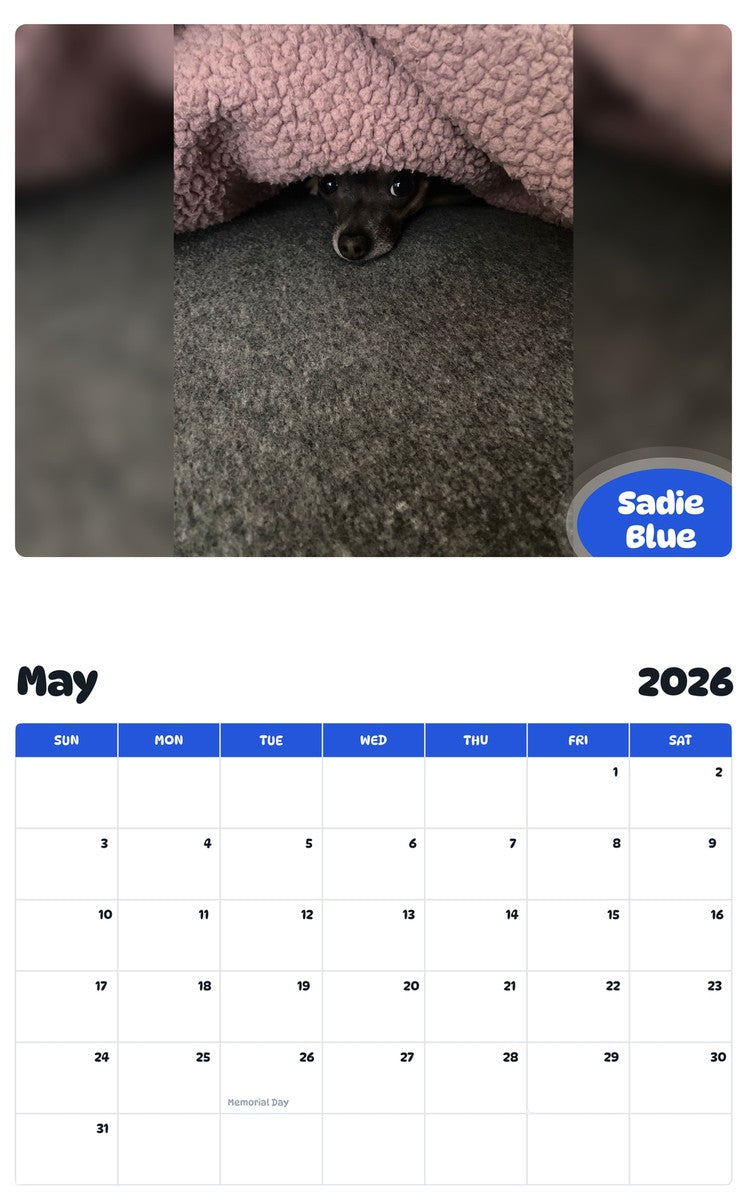2026 - 2027 Sadie Blue - Pawidols Pet Calendar