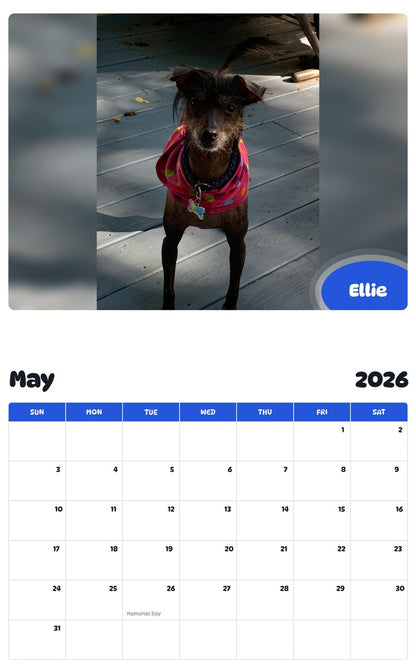 2026 - 2027 Ellie - Pawidols Pet Calendar