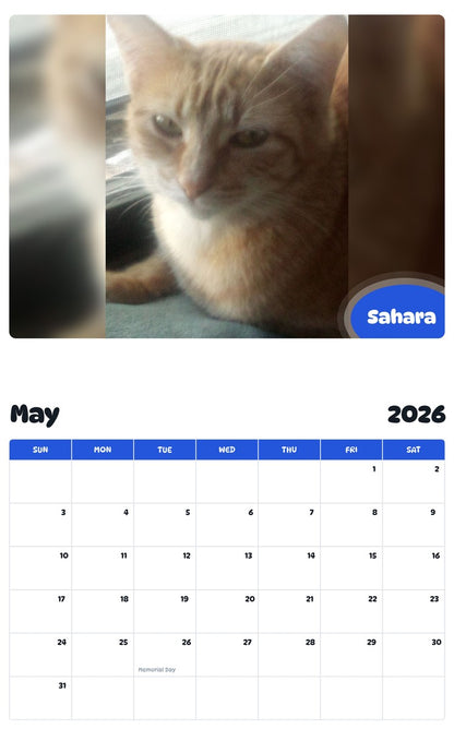 2026 - 2027 Sahara - Pawidols Pet Calendar