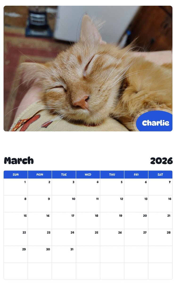 November 2025 - October 2026 Charlie - Pawidols Pet Calendar
