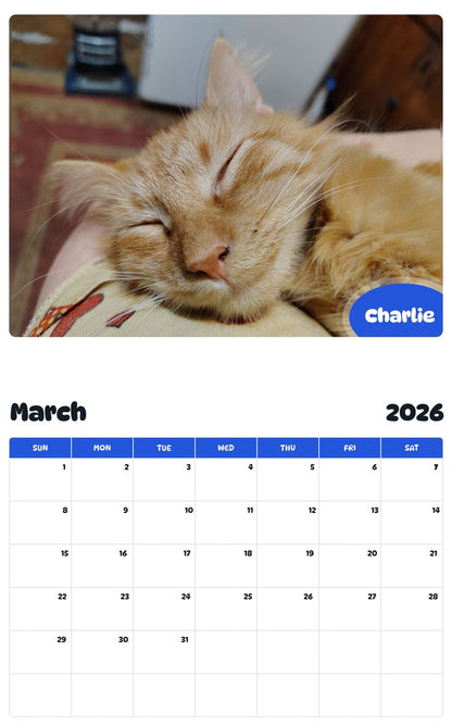 November 2025 - October 2026 Charlie - Pawidols Pet Calendar