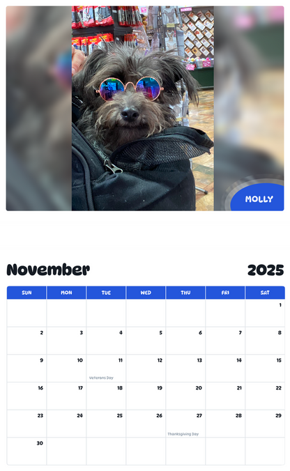July 2025 - June 2026 Molly - Pawidols Pet Calendar
