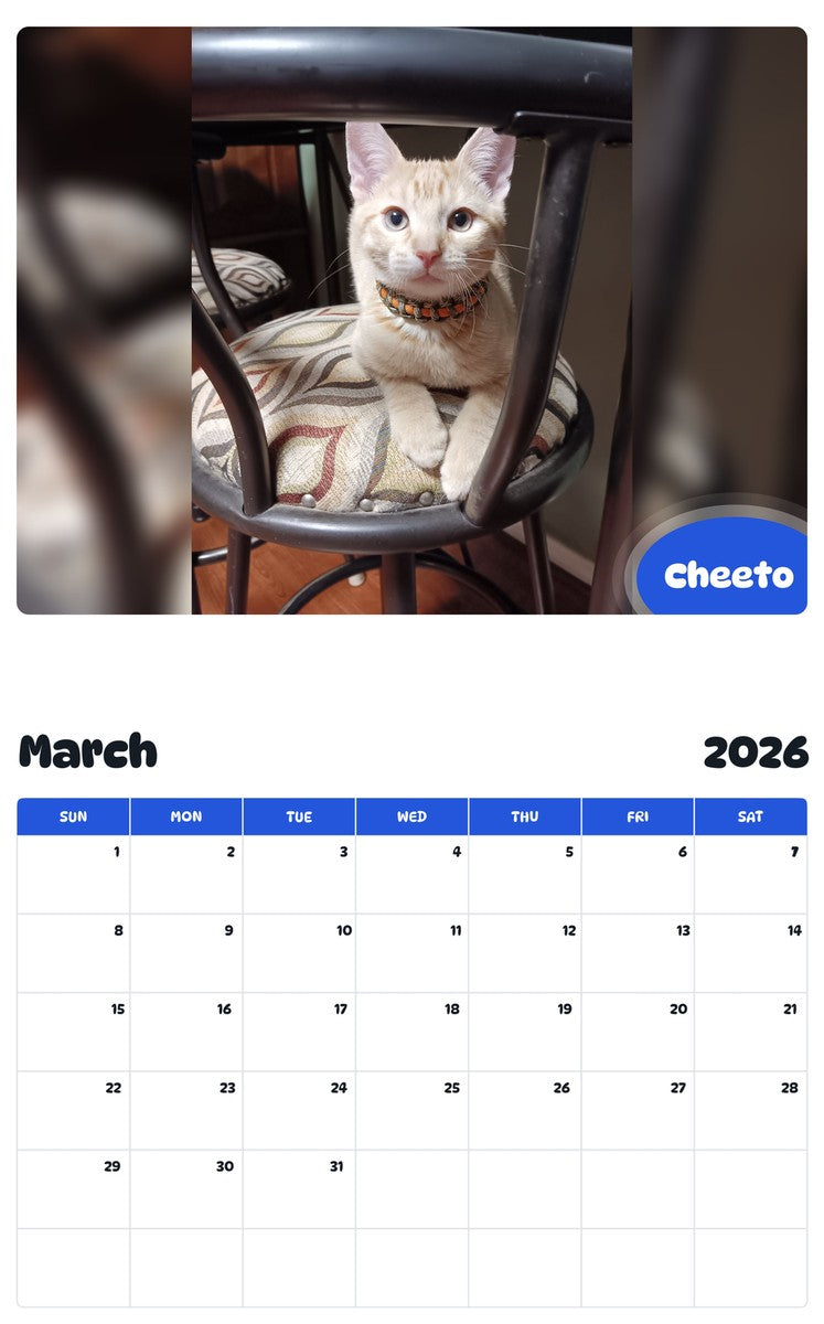 November 2025 - October 2026 Cheeto - Pawidols Pet Calendar