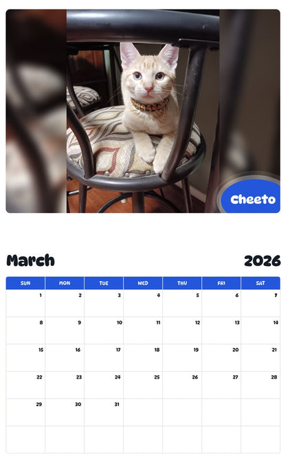 November 2025 - October 2026 Cheeto - Pawidols Pet Calendar