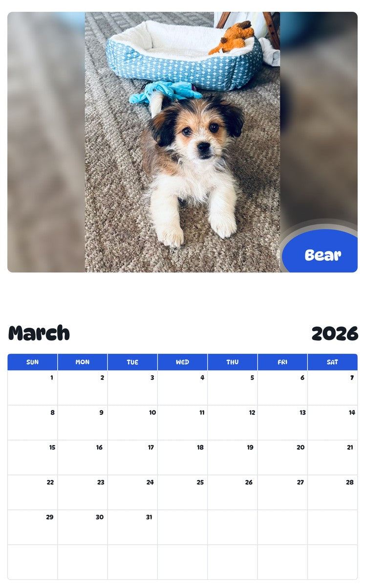 November 2025 - October 2026 Bear - Pawidols Pet Calendar