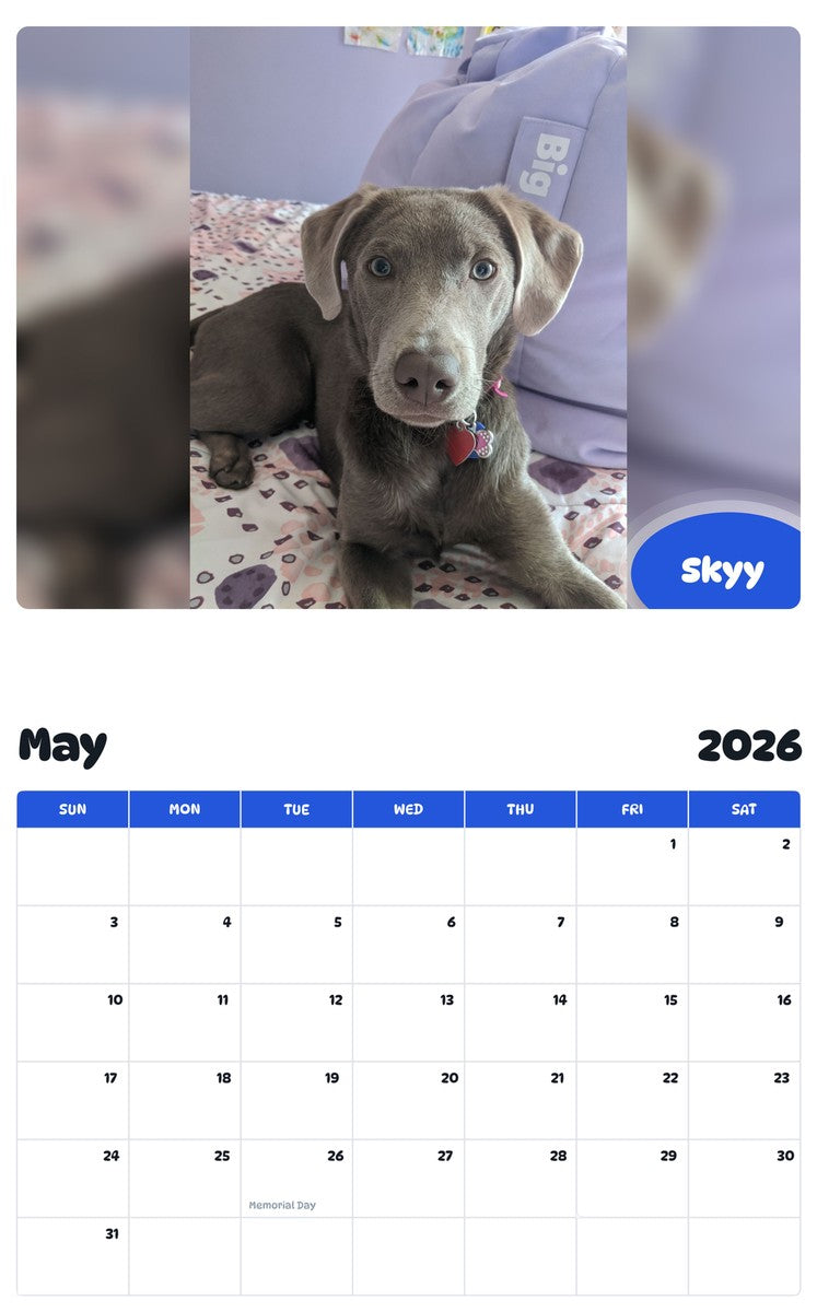 2026 - 2027 Skyy - Pawidols Pet Calendar