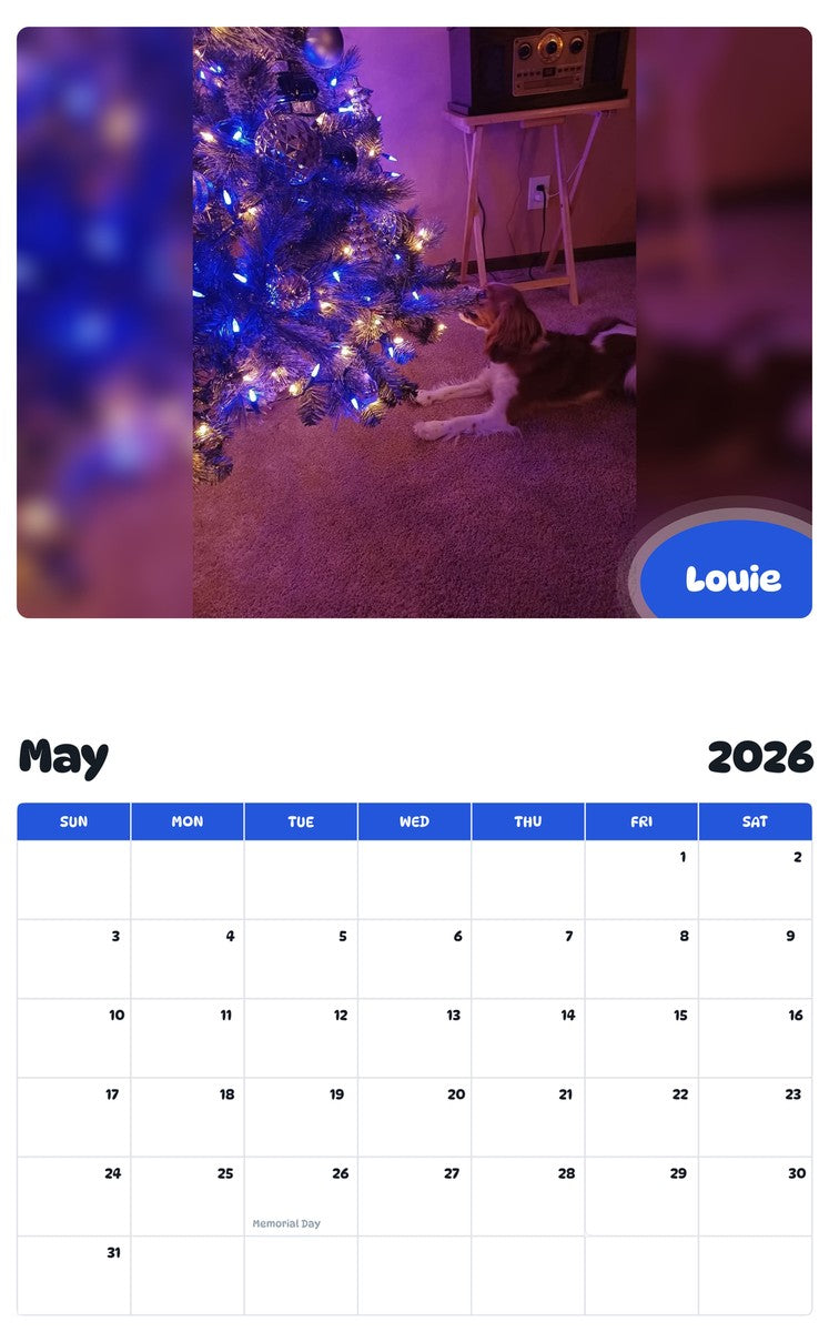 2026 - 2027 Louie - Pawidols Pet Calendar