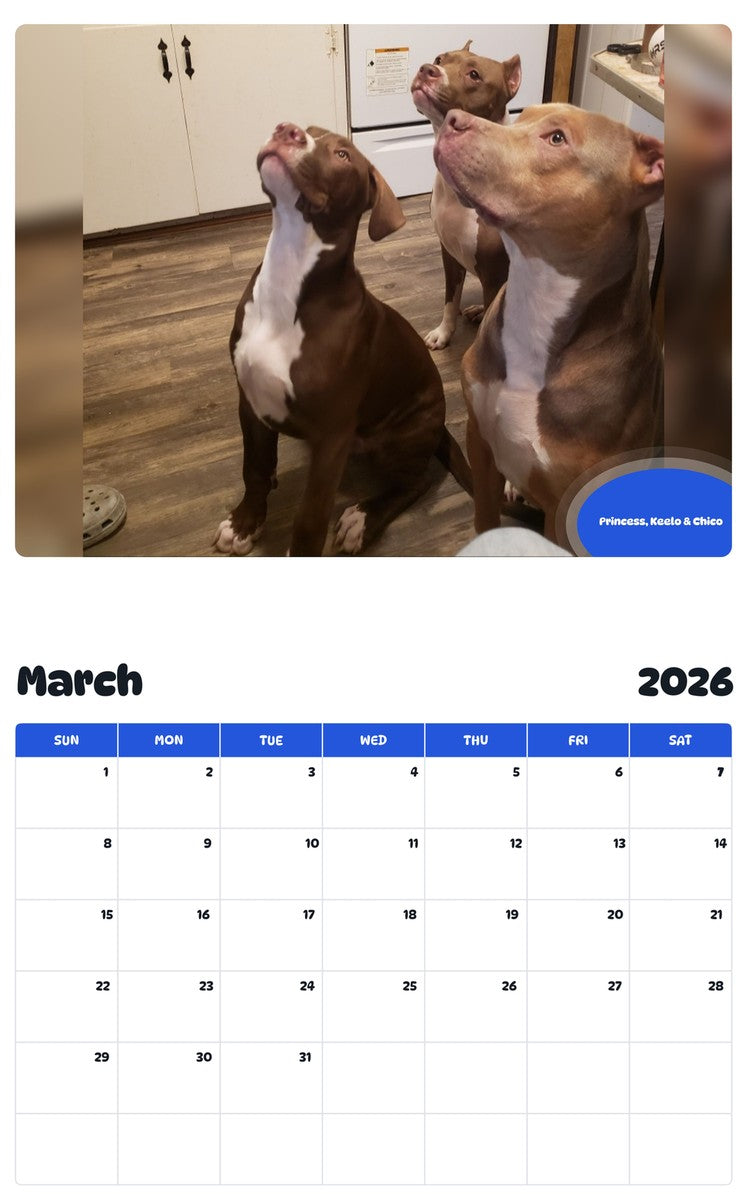 November 2025 - October 2026 Princess, Keelo & Chico - Pawidols Pet Calendar