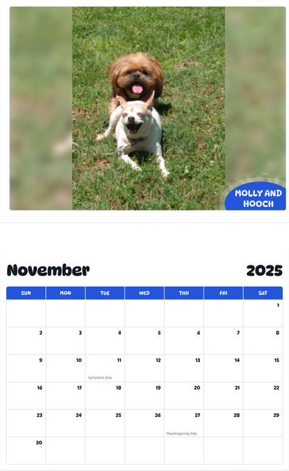 July 2025 - June 2026 Molly and Hooch - Pawidols Pet Calendar