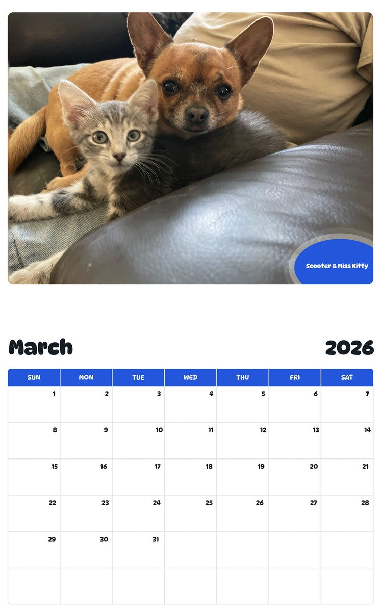 November 2025 - October 2026 Scooter & Miss Kitty - Pawidols Pet Calendar