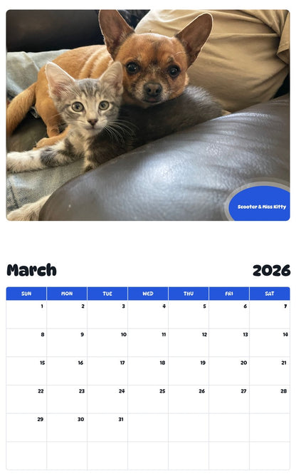 November 2025 - October 2026 Scooter & Miss Kitty - Pawidols Pet Calendar