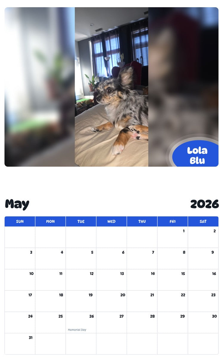 2026 - 2027 Lola Blu - Pawidols Pet Calendar