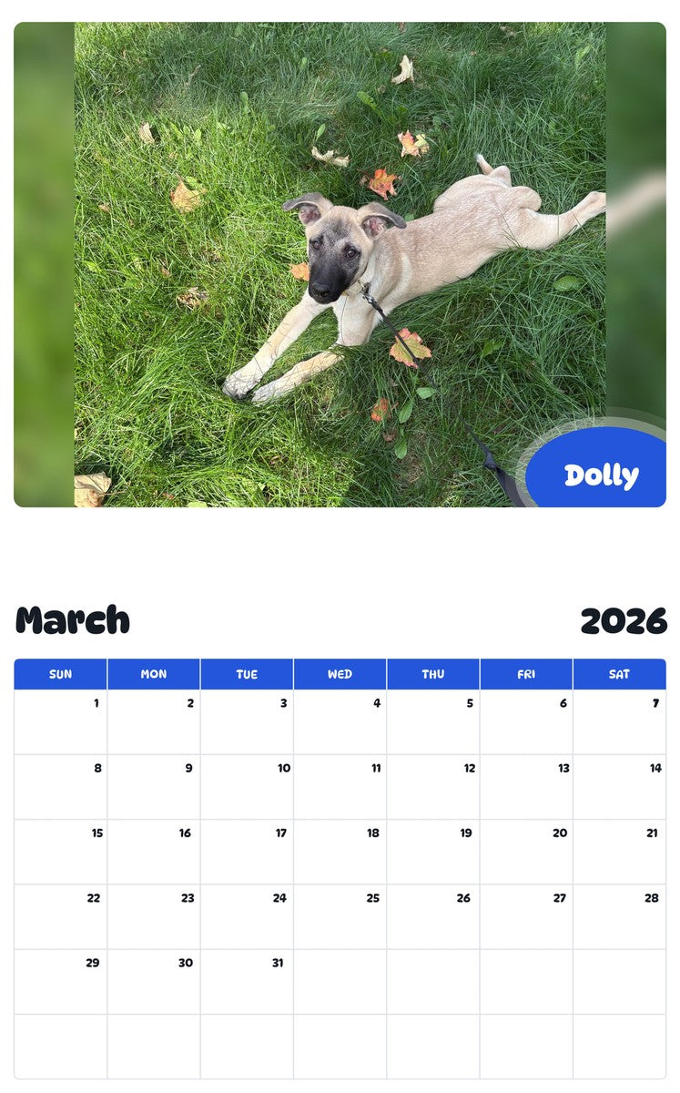 November 2025 - October 2026 Dolly - Pawidols Pet Calendar