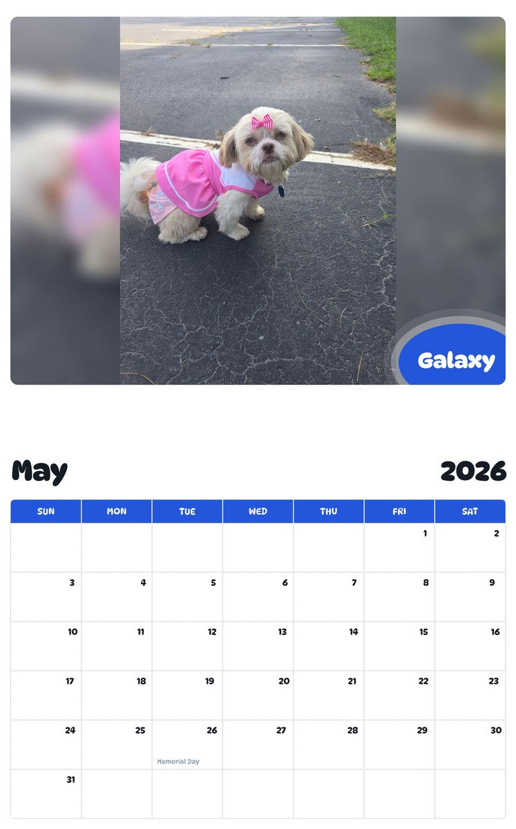 2026 - 2027 Galaxy - Pawidols Pet Calendar