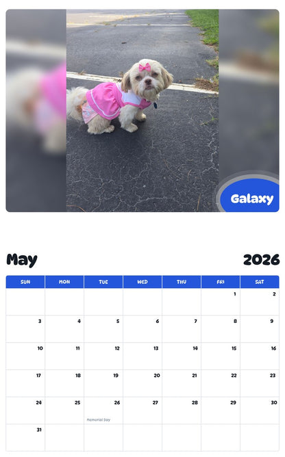 2026 - 2027 Galaxy - Pawidols Pet Calendar