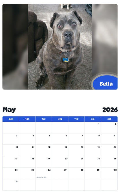 2026 - 2027 Bella - Pawidols Pet Calendar