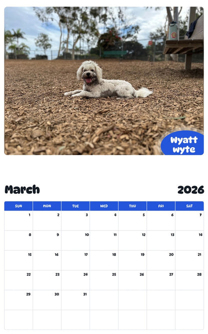 November 2025 - October 2026 Wyatt wyte - Pawidols Pet Calendar