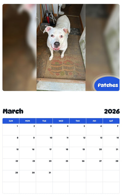 November 2025 - October 2026 Patches - Pawidols Pet Calendar