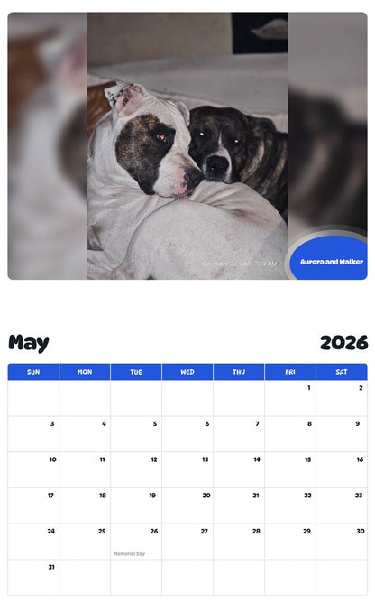 2026 - 2027 Aurora and Walker - Pawidols Pet Calendar