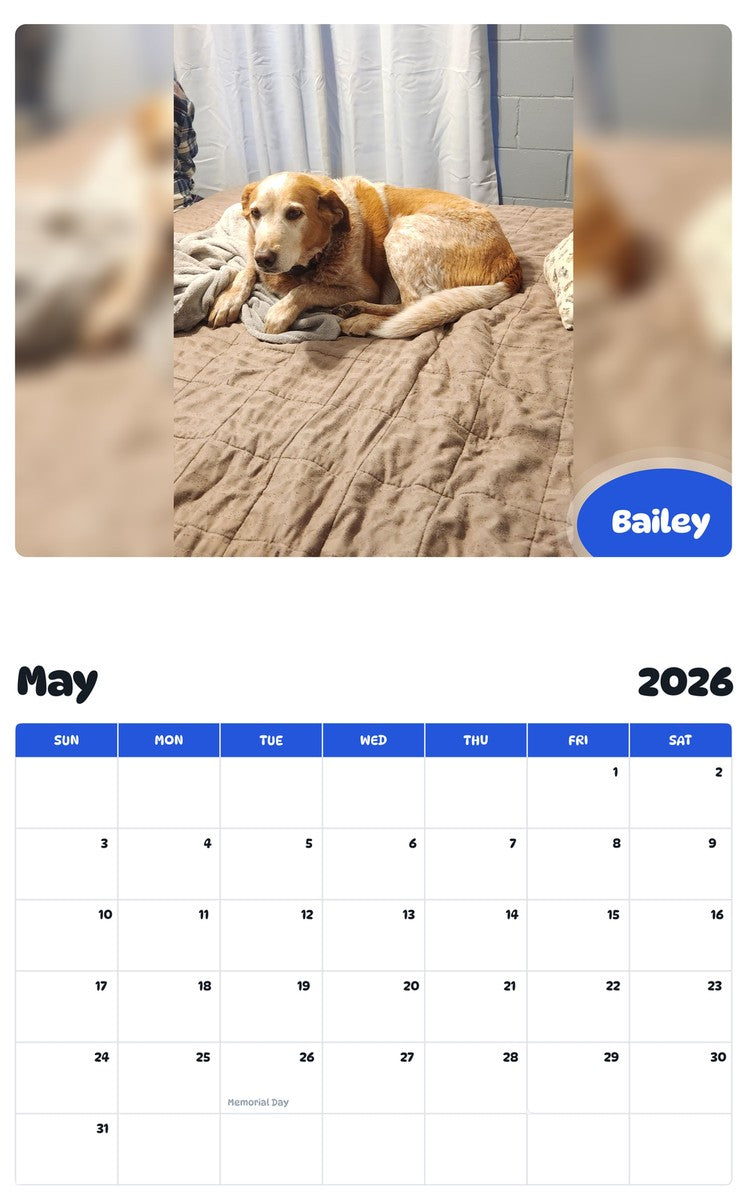 2026 - 2027 Bailey - Pawidols Pet Calendar
