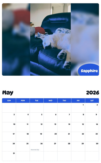 2026 - 2027 Sapphire - Pawidols Pet Calendar