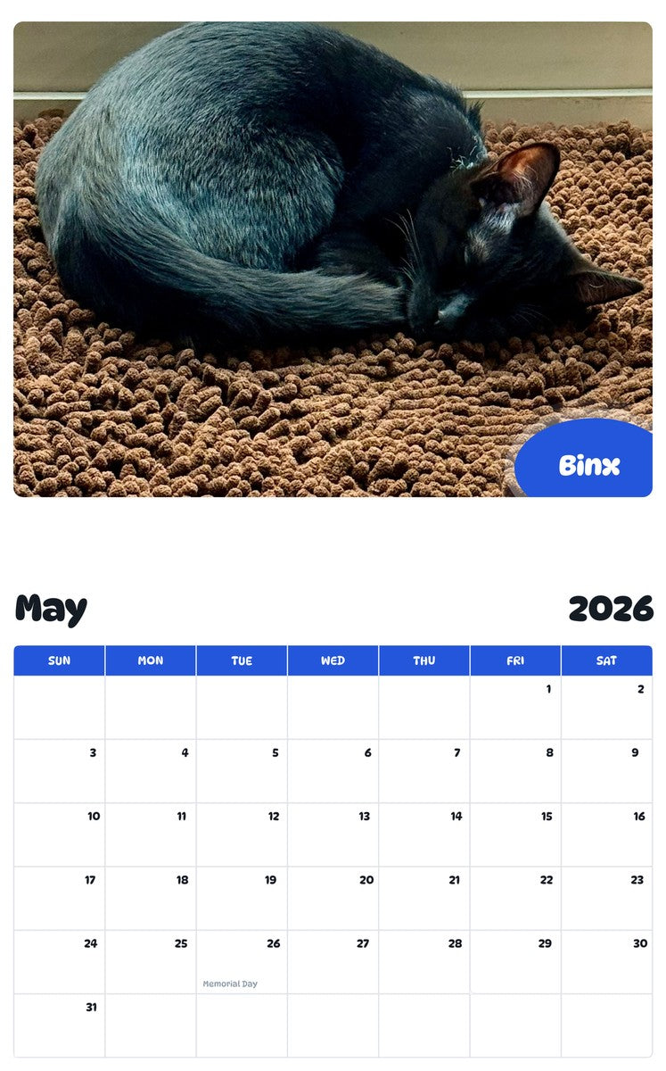 2026 - 2027 Binx - Pawidols Pet Calendar